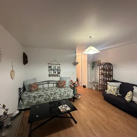 Grand T1 Climatise, Jardin Avec Parking En *