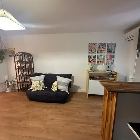 Grand T1 Climatise, Jardin Avec Parking En Apartment Ajaccio (Corsica)