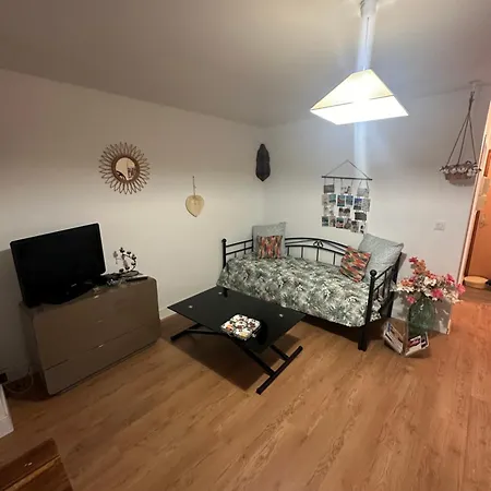 Grand T1 Climatise, Jardin Avec Parking En *
